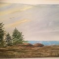 Klant imago Aquarelverf W&N Cotman Tube 8ml - 676 Vandyke bruin