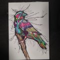 Klant imago Inkt 33 ml - Zwart