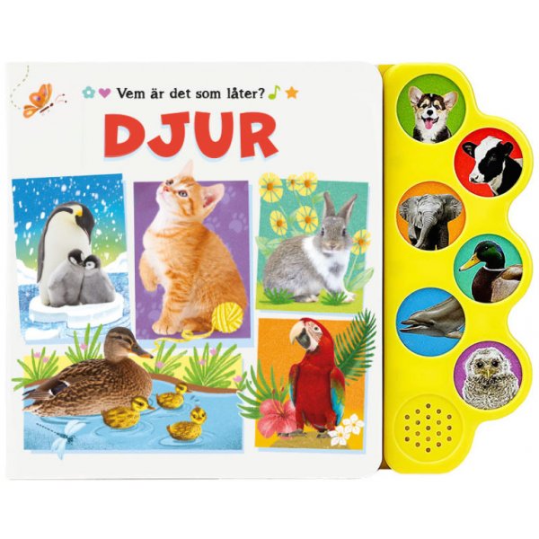 Wie maakt daar lawaai? Dier