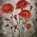 Klant imago Amsterdam acrylverf 500 ml - Pyrrole rood