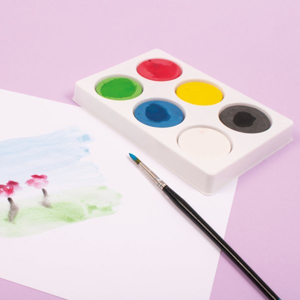 Kleurenpalet voor 44mm - 6-vaks - 6 st