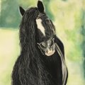 Klant imago PanPastel - Permanent Groen Extra Donker