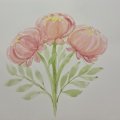 Klant imago Aquarelverf W&N Cotman tube 8 ml - 095 Cadmiumrode tint