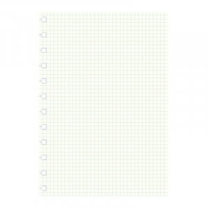Navulling voor Filofax Notitieboek - A4 Navulling voor Filofax Notitieboek - A4