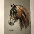 Klant imago Pastelblok Hahnemühle Velours Gekleurd 260g - 24x32cm