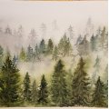Klant imago Aquarelblok Gelijmd Koudgeperste Bogen 300g - A4