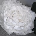 Klant imago Crêpepapier 50 x 250 cm - wit