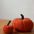 Klant imago Astrid 50g - Pompoen