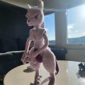 Klant imago Dame 50g - Babylavendel