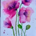 Klant imago Aquarelverf W&N Cotman Half cup - 502 Permanent rose