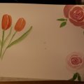 Klant imago Aquarelverf W&N Cotman Half kopje - 599 Sapgroen