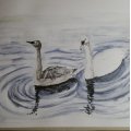 Klant imago Kleurpotlood Polychromos - 101 Wit