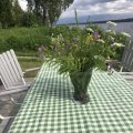 Klant imago Dekzeil Geruit - Groen