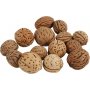 Noten - 25 g