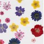 Gedroogde bloemen en bladeren - gemengde kleuren