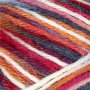 Sokkengaren - blauw/rode harmonie - 50 gr