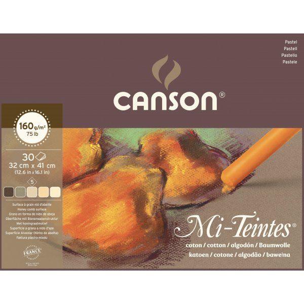 Canson Mi-Teintes Pastelpapier Terre 160g - 32x41 cm