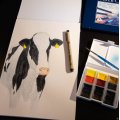 Klant imago Aquarelblok Sense 200g - A4