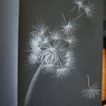 Klant imago Schetsboek Sakura Zwart papier 140g 80 vellen - 13x21 cm