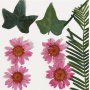 Gedroogde bloemen en bladeren - helderrood