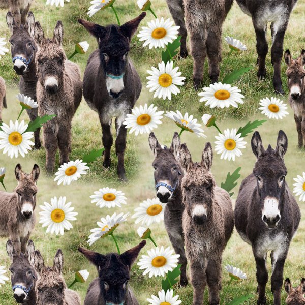 Tricot met patroon 150 cm - Donkey Joe