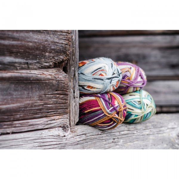 Raggi 100g Raggi 100g