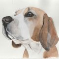 Klant imago Aquarelblok Gelijmd Ruw bos Bogen 300g - A3