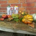 Klant imago Spuitverf Montana Wit 400ml - Zonnebloem