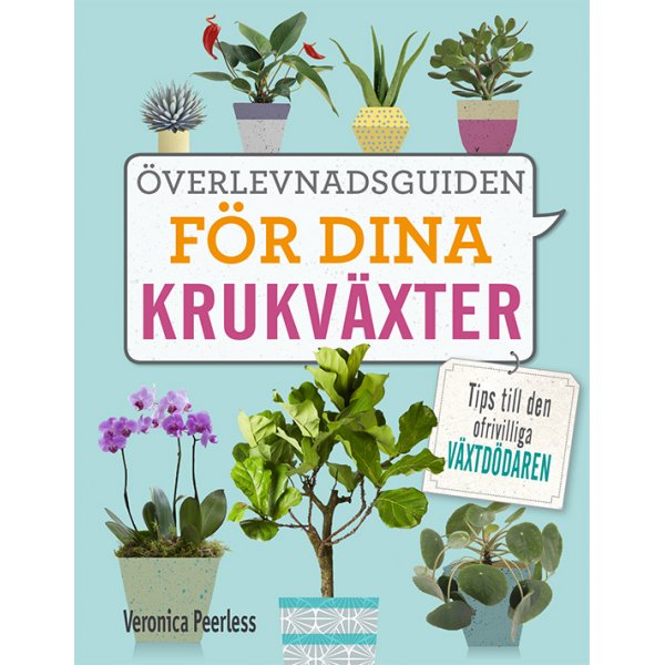 De overlevingsgids voor uw kamerplanten: tips voor onvrijwillige plantenmoordenaars