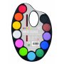 Palet met aquarellen 12 kleuren Palet met aquarellen 12 kleuren