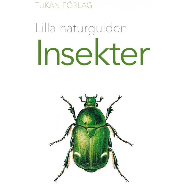 Kleine natuurgids: Insecten