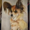 Klant imago Accademia-tekenblok, 210x297 mm