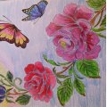Klant imago Aquarelpen Mondeluz - 36 pennen blikken doos