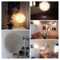 Klant imago Decoratieve veer 50-100 mm - vanille 10 g ~ 110-pack