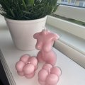 Klant imago Kleurpigmentsticks - oudroze 2 st.