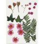 Gedroogde bloemen en bladeren - helderrood