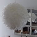Klant imago Decoratieve veer 50-100 mm - vanille 10 g ~ 110-pack