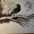 Klant imago Tekening houtskool W&N - Vide houtskool Medium 3st