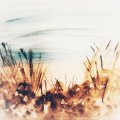 Klant imago Aquarelverf W&N Cotman Tube 8 ml - 609 Sepia
