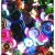 Pailletten rond facet geslepen  6 mm