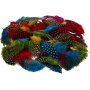 Parelhoenveren - gemengde kleuren - 50 g