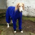 Klant imago Fleece poolvrij koningsblauw - 150 cm