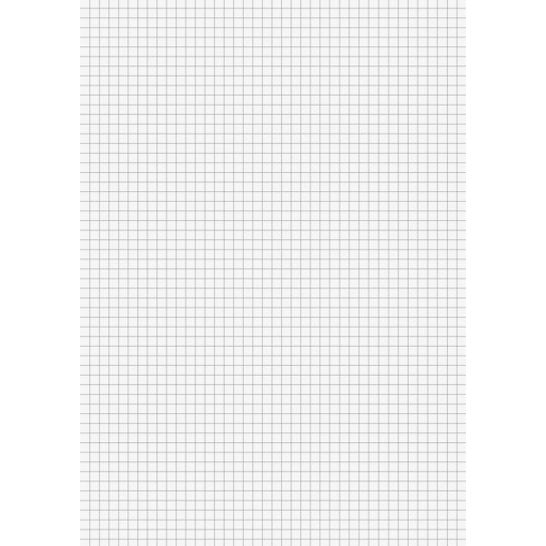 Losse pagina's - dubbele gevouwen pagina's A3 (A4) - geruit