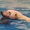 Klant imago Aquarelverf Lukas 1862 24Ml - Sienna gebrand (1109)
