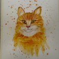 Klant imago Canson XL Aquarelle 300g - A4