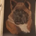 Klant imago Pastelpotlood PITT - 199 Zwart