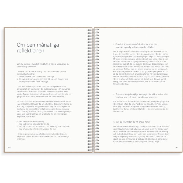 Saldologboek Saldologboek