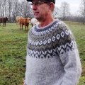Klant imago Lett-lopi 50g - Lichtgrijs
