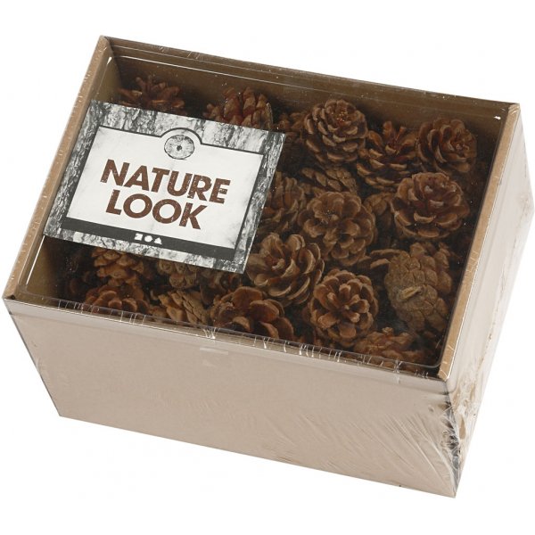 Dennenappels - 500 g Dennenappels - 500 g