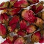Droogbloemen - Rozenknoppen - 15 g